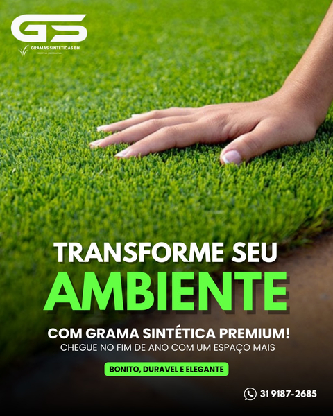 Foto da capa de GS Gramas Sintéticas Bh